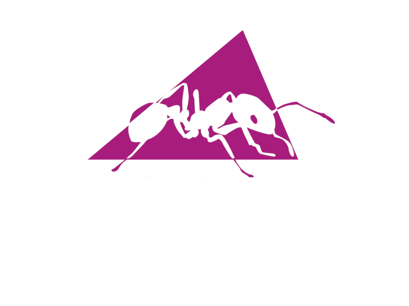 logo formation ant